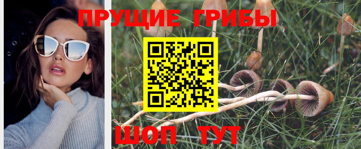 Галлюциногенные грибы GOLDEN TEACHER Костомукша